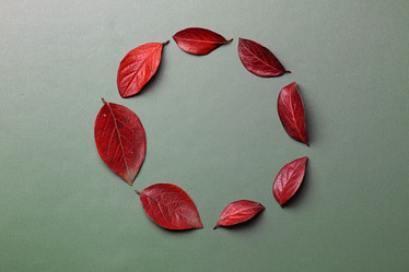 Similar image 13040055