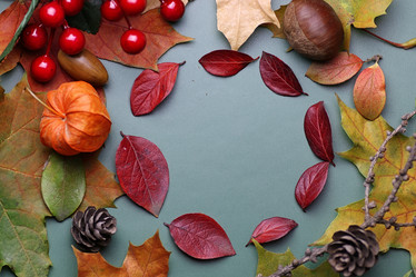 Similar image 13040064