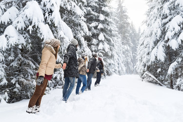 Similar image 13031886