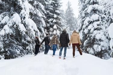 Similar image 13031906