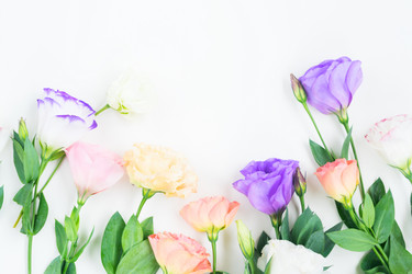 Similar image 13023508