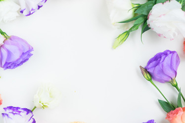 Similar image 13023509