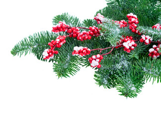 Similar image 13046130