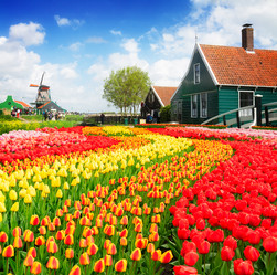 Similar image 13046030