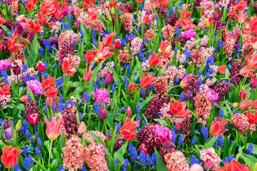 Similar image 13023549