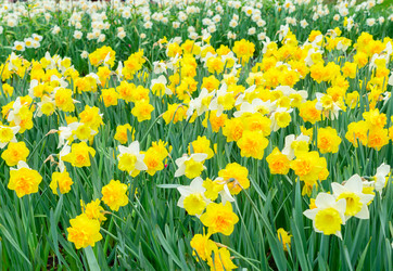 Similar image 13039149