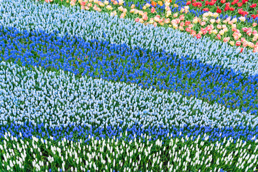 Similar image 13038376