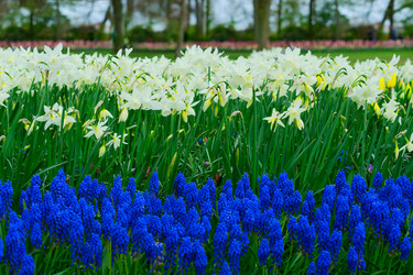 Similar image 13038377