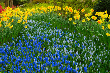 Similar image 13038512