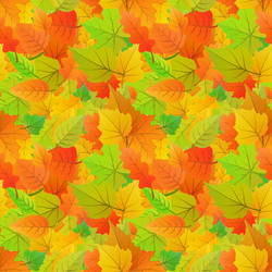 Similar image 13045324