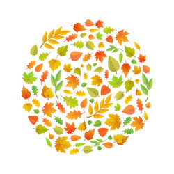 Similar image 13045300