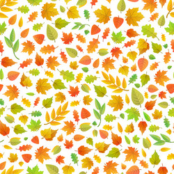 Similar image 13004420