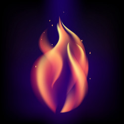 Similar image 13005891