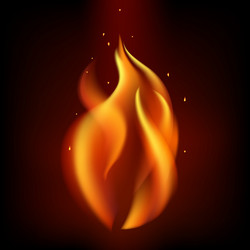 Similar image 13005967