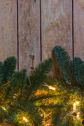 Similar image 13038762