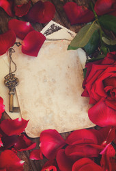 Similar image 13017061