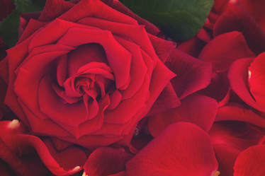 Similar image 13023309