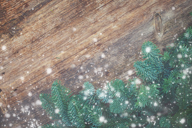 Similar image 13045893