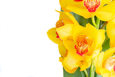 Similar image 13038380