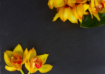 Similar image 13039300