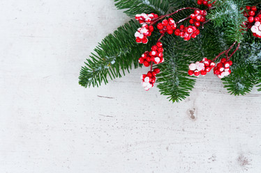 Similar image 13038866