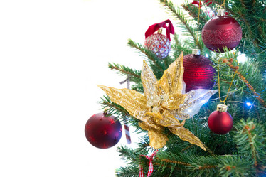 Similar image 13039078