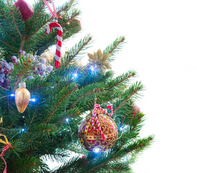 Similar image 13039127