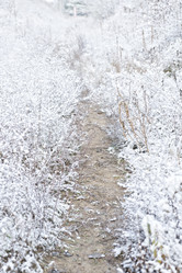 Similar image 13023370