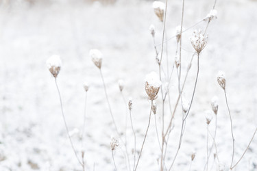 Similar image 13023394