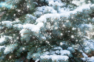 Similar image 13023629