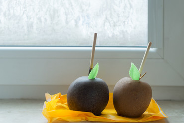 Similar image 13023671