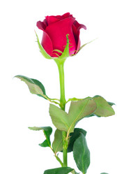 Similar image 13038948