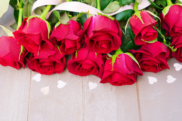 Similar image 13039017