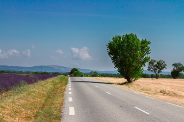 Similar image 13023530