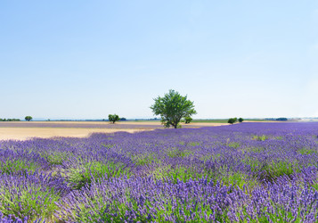 Similar image 13038596