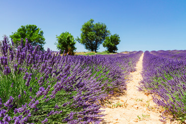 Similar image 13038598