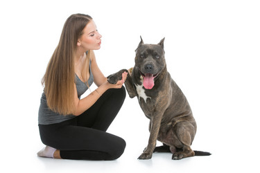 Similar image 13036343