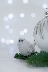 Similar image 13040122