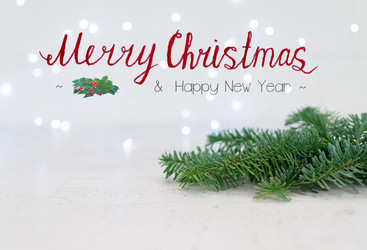 Similar image 13040147