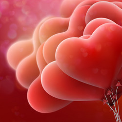 Similar image 13017090