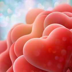 Similar image 13017203