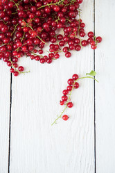 Similar image 13035620