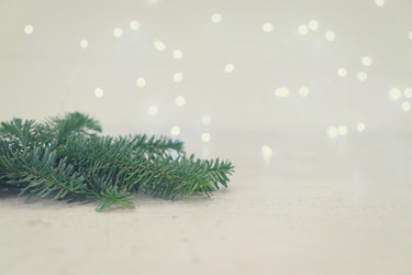 Similar image 13038892