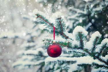 Similar image 13046138