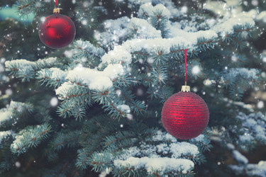 Similar image 13046139