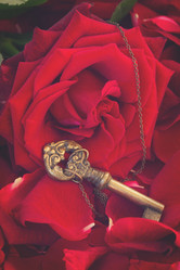 Similar image 13023395