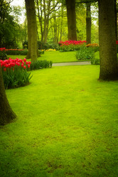 Similar image 13023490