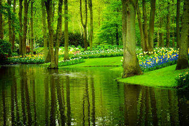 Similar image 13023491