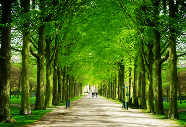 Similar image 13039130