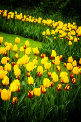 Similar image 13038471